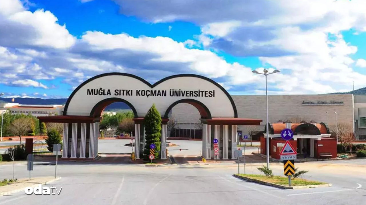 akademide sahte yayin mugla universitesinde intihal skandali TTVH2K13