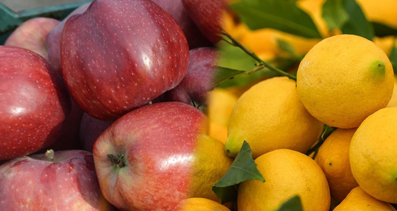 elma ve limonun ihraci kayda baglandi AQO9qdf3