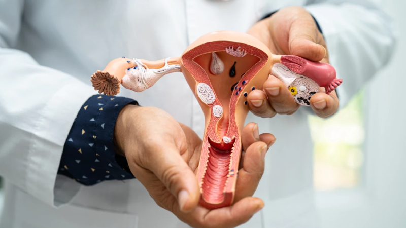 uzmani anlatti her on kadindan birinde polikistik over sendromu gorulebilir U7PiY2kV