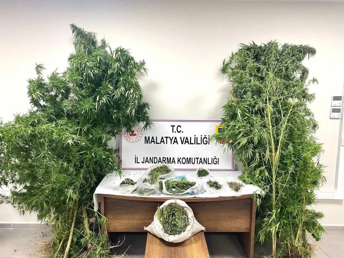 malatyada uyusturucu operasyonu 5 tutuklama sYOzNLH5