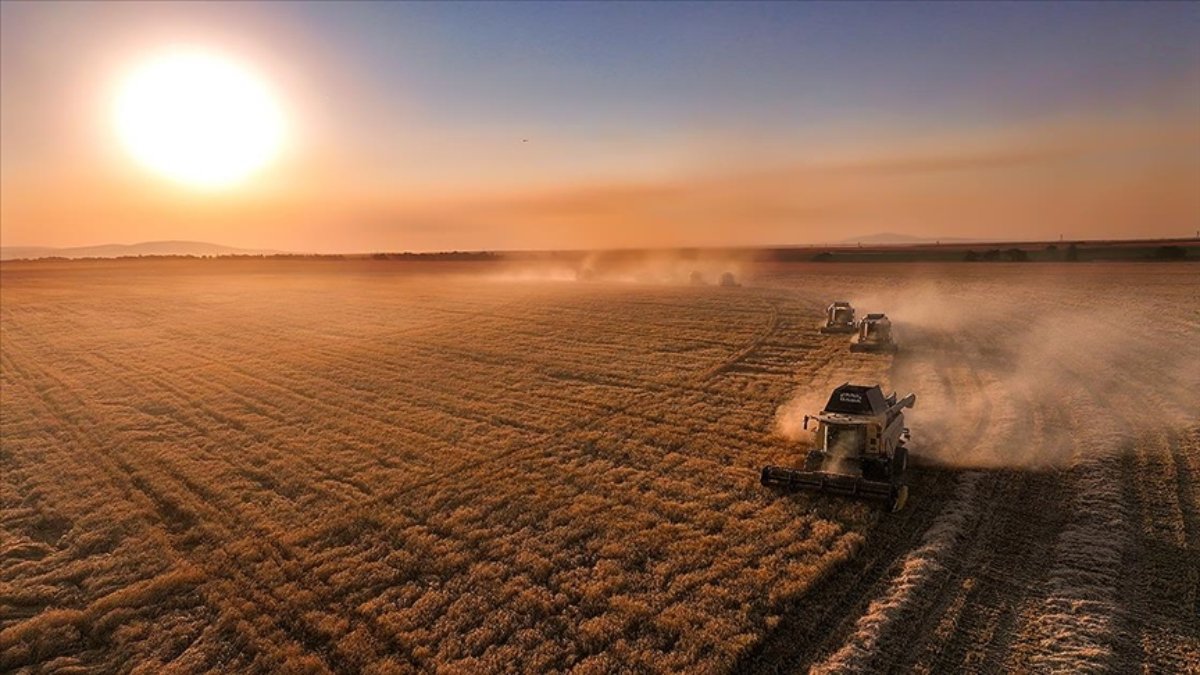 Tarımda IPARD-III Programı kasım dönemi ödemesi yapıldı