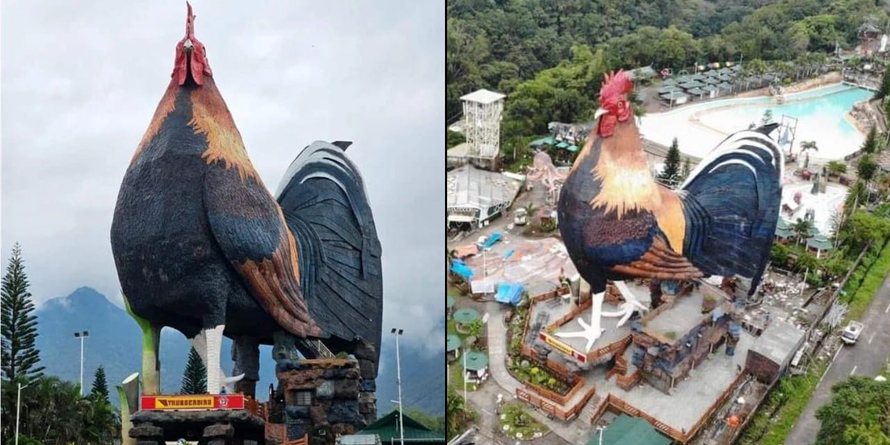 Filipinler’deki Dev Horoz Yapısı, Şeker Endüstrisinin Çöküşüne Rağmen Dünya Rekoru Kırdı