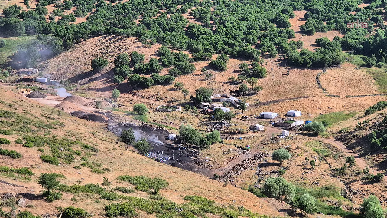 Bingöl’de orman kesimleri sürüyor: Çevre aktivistleri yetkililerden açıklama istedi Bingolde orman kesimleri suruyor cevre aktivistleri yetkililerden aciklama istedi pyqPcUBZ
