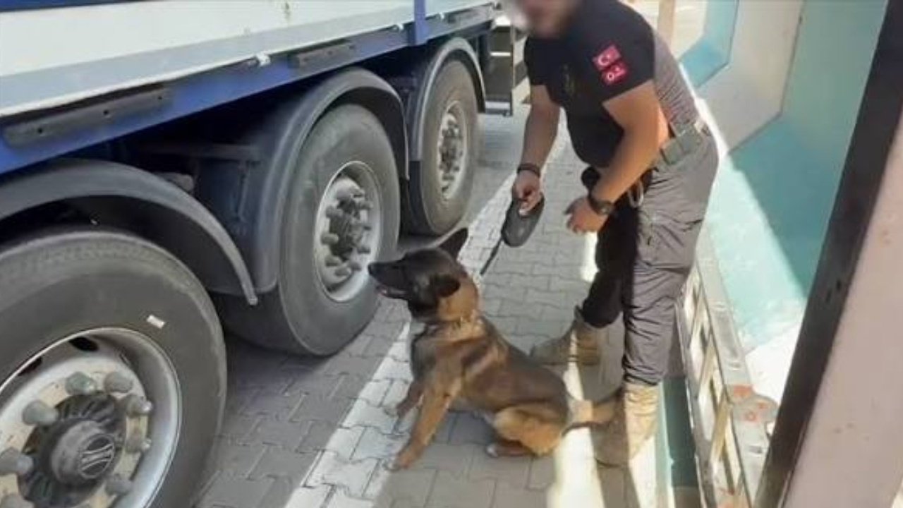 TIR’dan 170 kilo esrar çıktı! 1 kişi tutuklandı Img