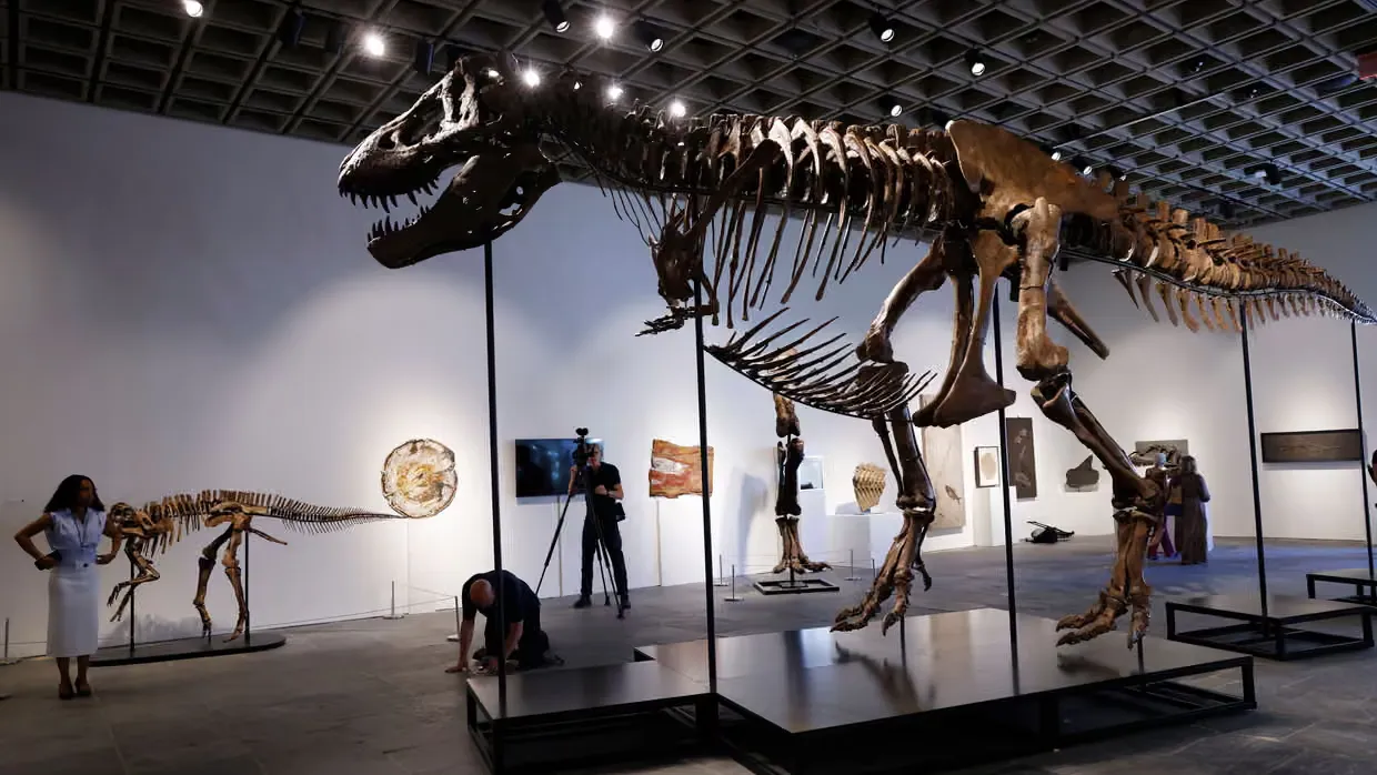 T-Rex iskeleti 50,1 milyon dolara satıldı: Müzayede rekoru kırdı T rex iskeleti 501 milyon dolara satildi muzayede rekoru kirdi pKWFd7Fu